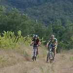 Des Alberes 4* Laroque-des-Albères