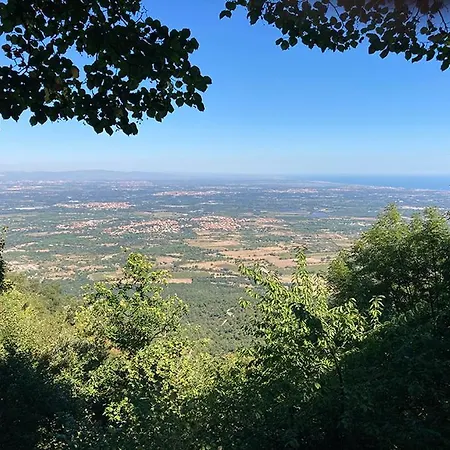 Des Alberes Camping 4*