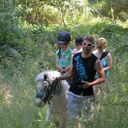 Des Alberes Camping