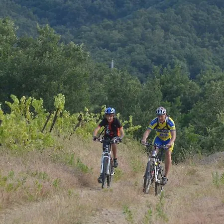 Des Alberes 4* Laroque-des-Albères